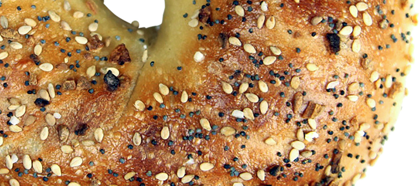 everything bagel
