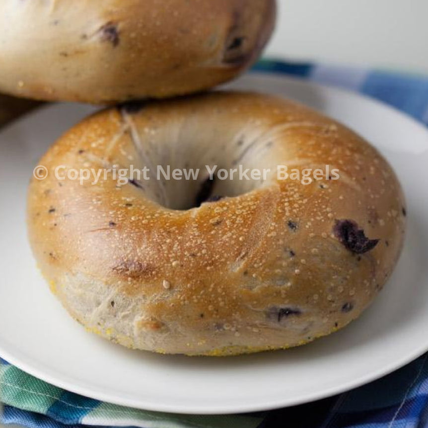 blueberry bagel