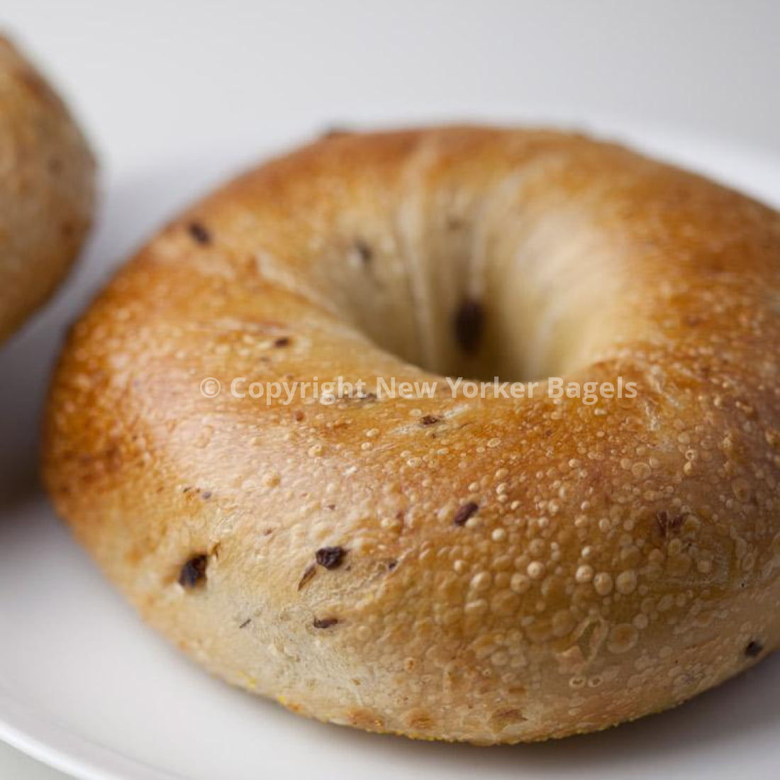 ヨガ・ピラティス BAGEL Kalamata Olive Bagel