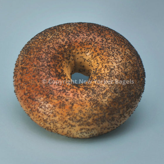 poppyseed bagel