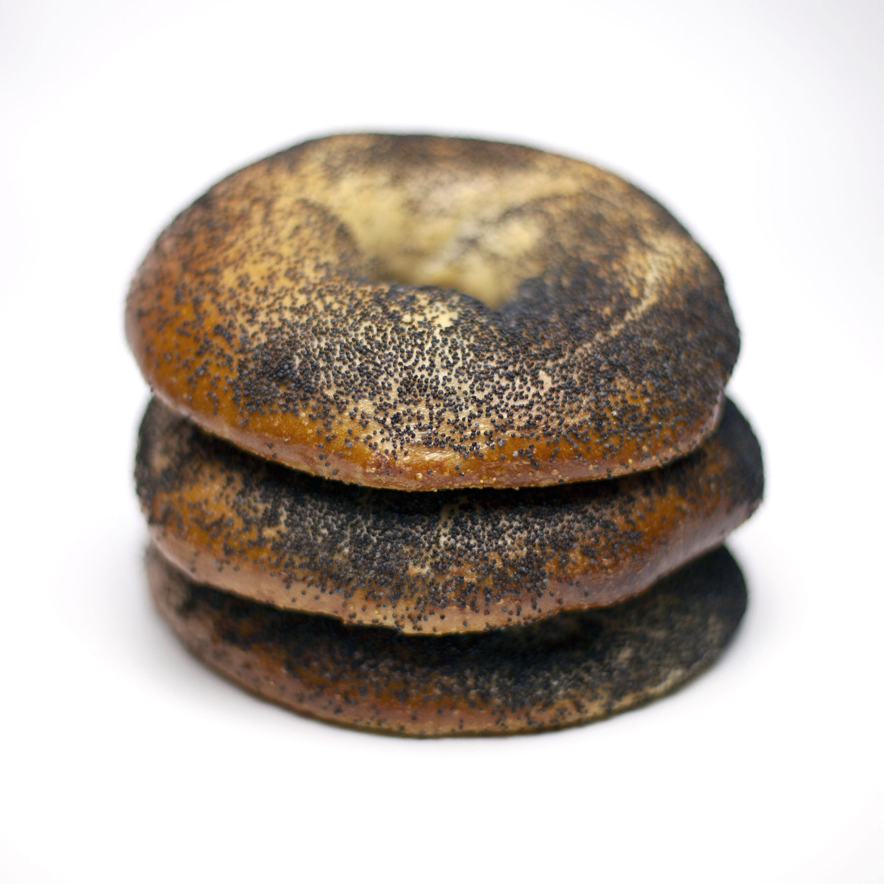 poppy flat bagels