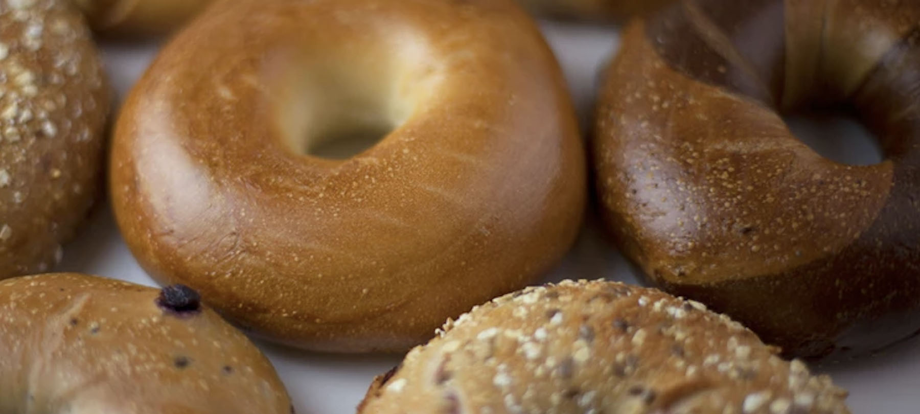 real new york bagel