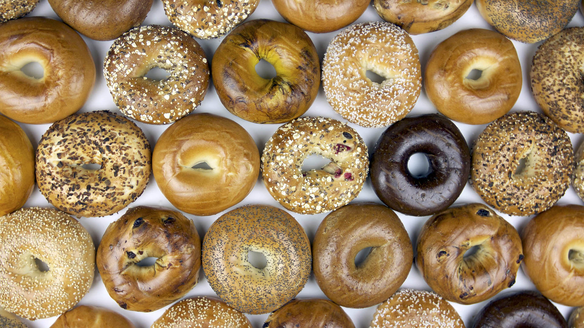 different bagel flavors