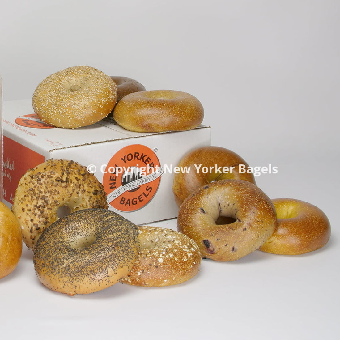 1 dozen new york bagels