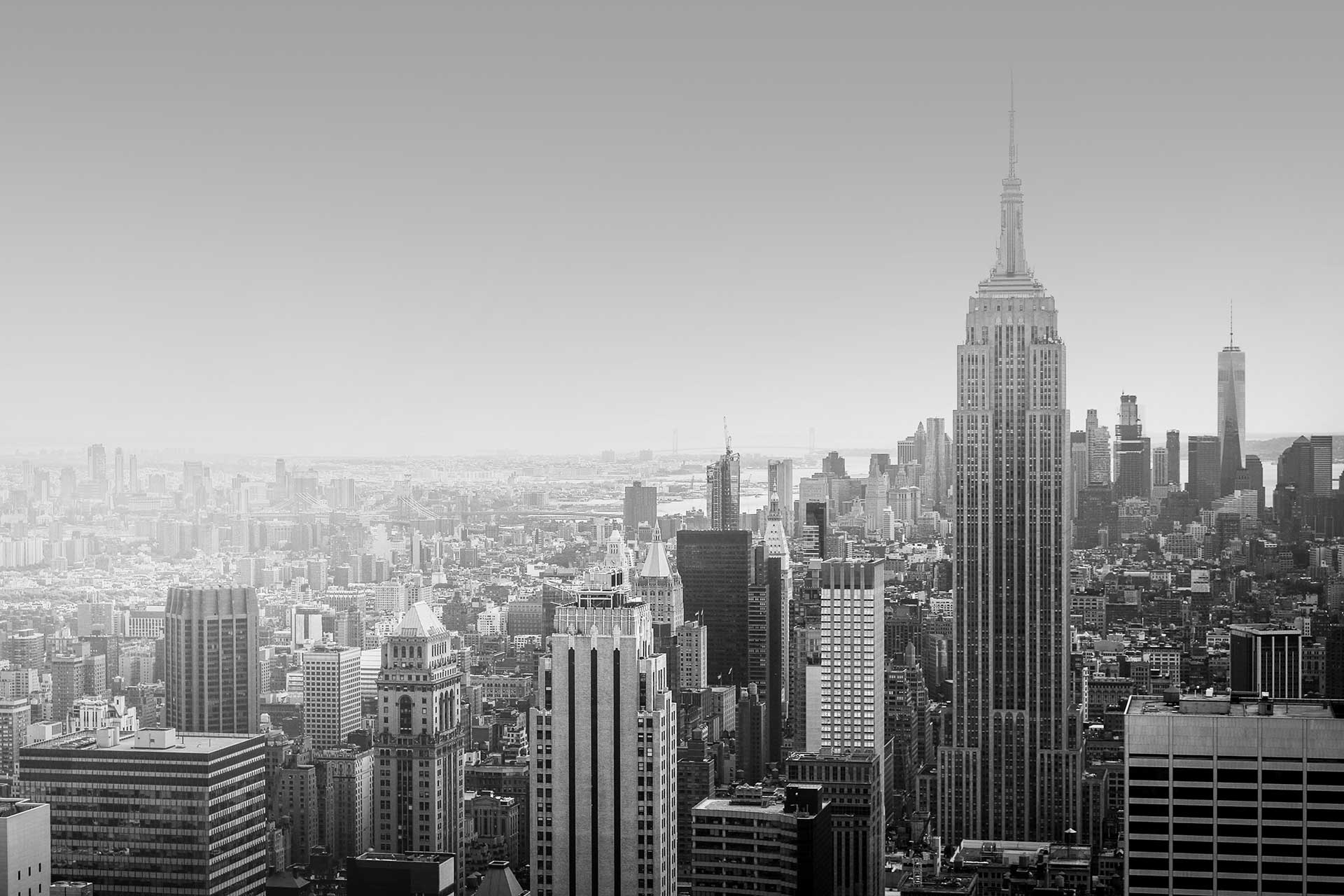 new york city