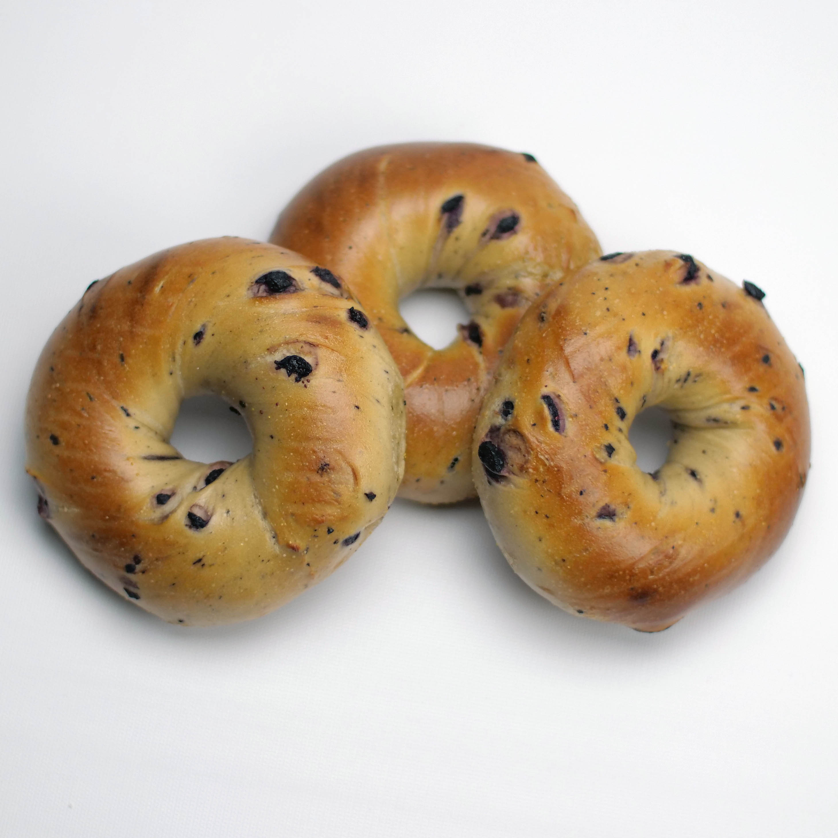 fresh blueberry bagels