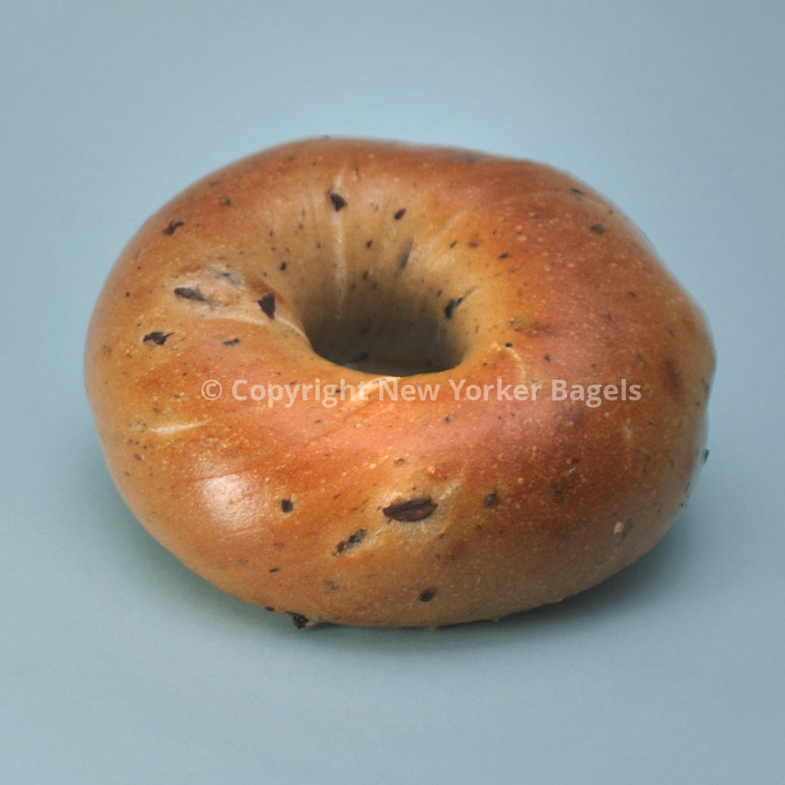 ヨガ・ピラティス BAGEL Kalamata Olive Bagel