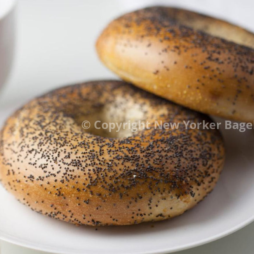poppy bagel