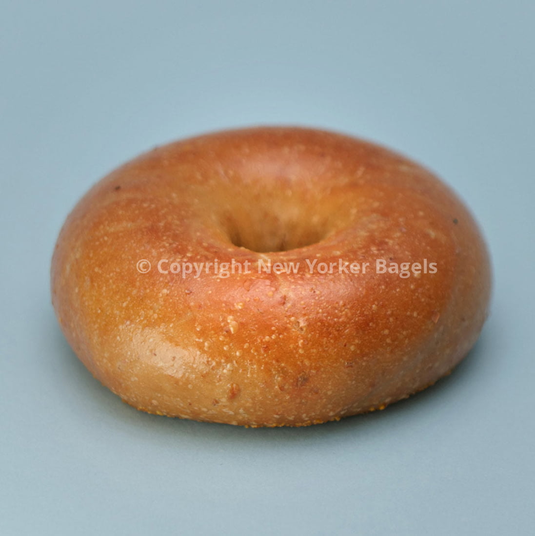 fresh whole what bagels